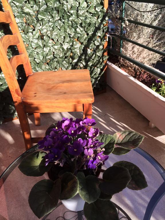 Shelisa B&B Ρώμη Εξωτερικό φωτογραφία